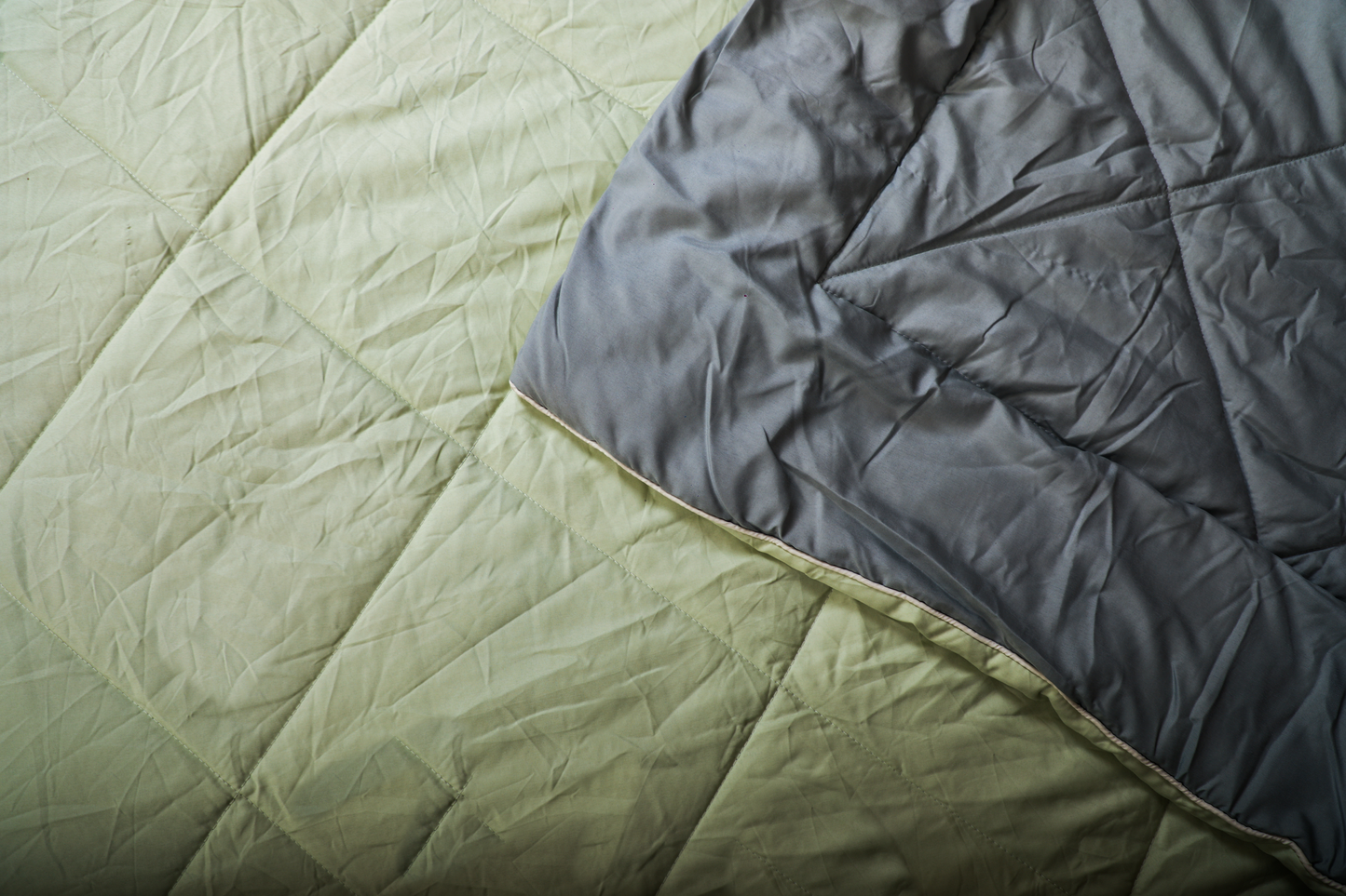 Fountain Grasses - DOUBLE BED REVERSIBLE COMFORTER (Green Grey)