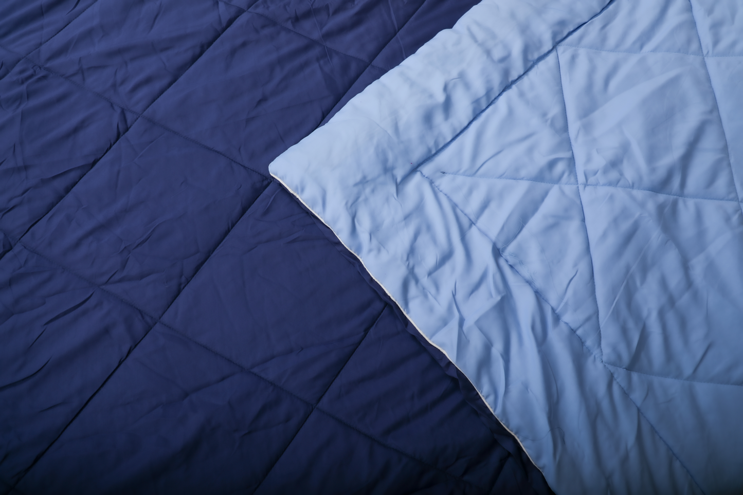 Fountain Grasses - DOUBLE BED REVERSIBLE COMFORTER (Blue)