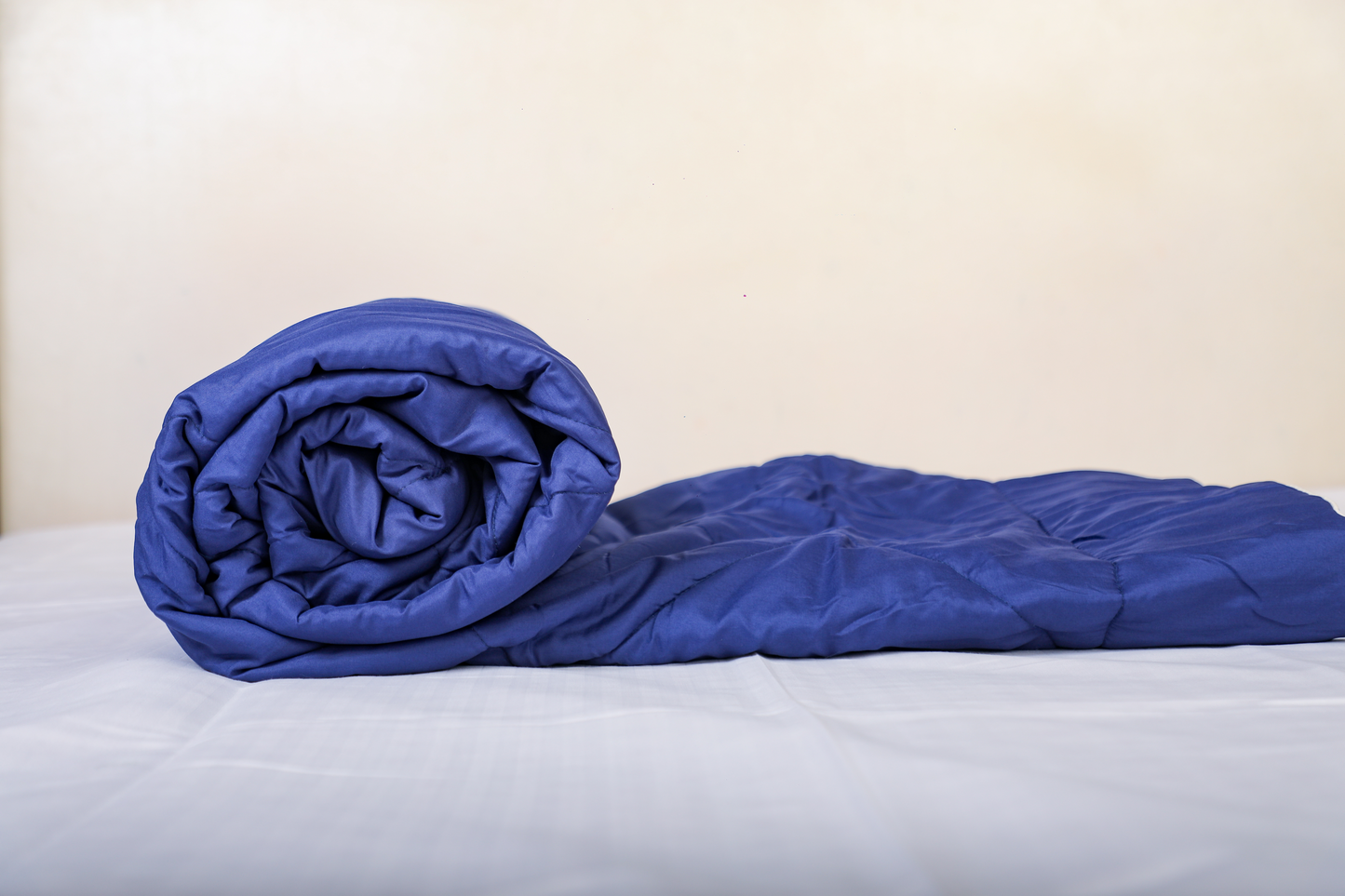 Fountain Grasses - DOUBLE BED REVERSIBLE COMFORTER (Blue)