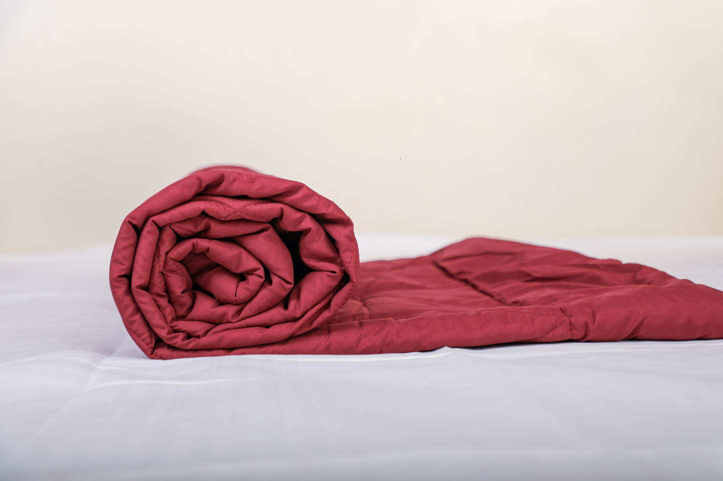 Fountain Grasses - SINGLE BED REVERSIBLE COMFORTER (Maroon Grey)