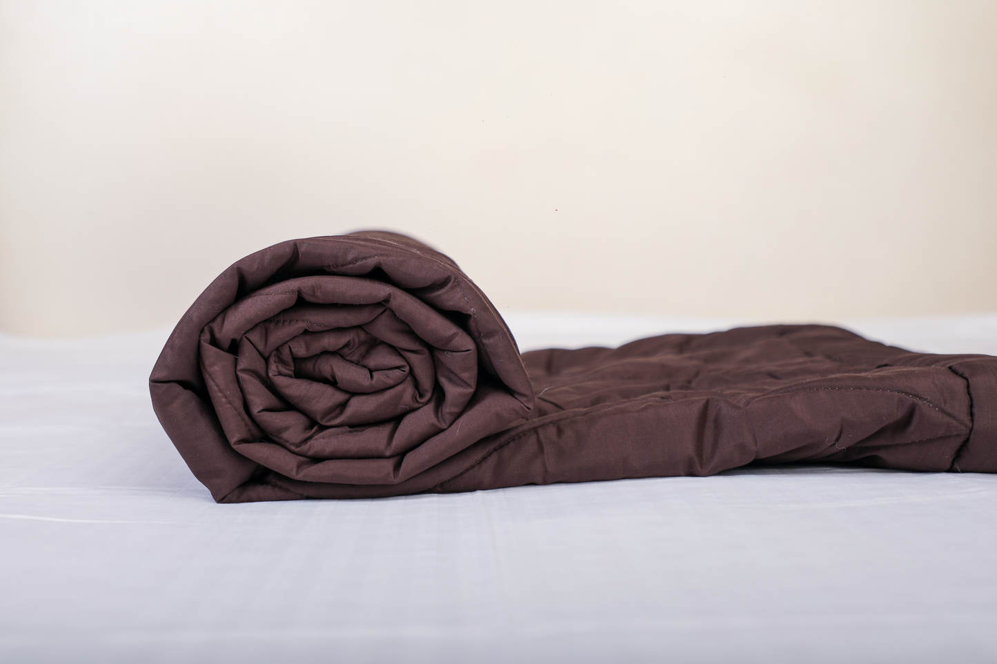 Fountain Grasses - SINGLE BED REVERSIBLE COMFORTER (Brown Cream)