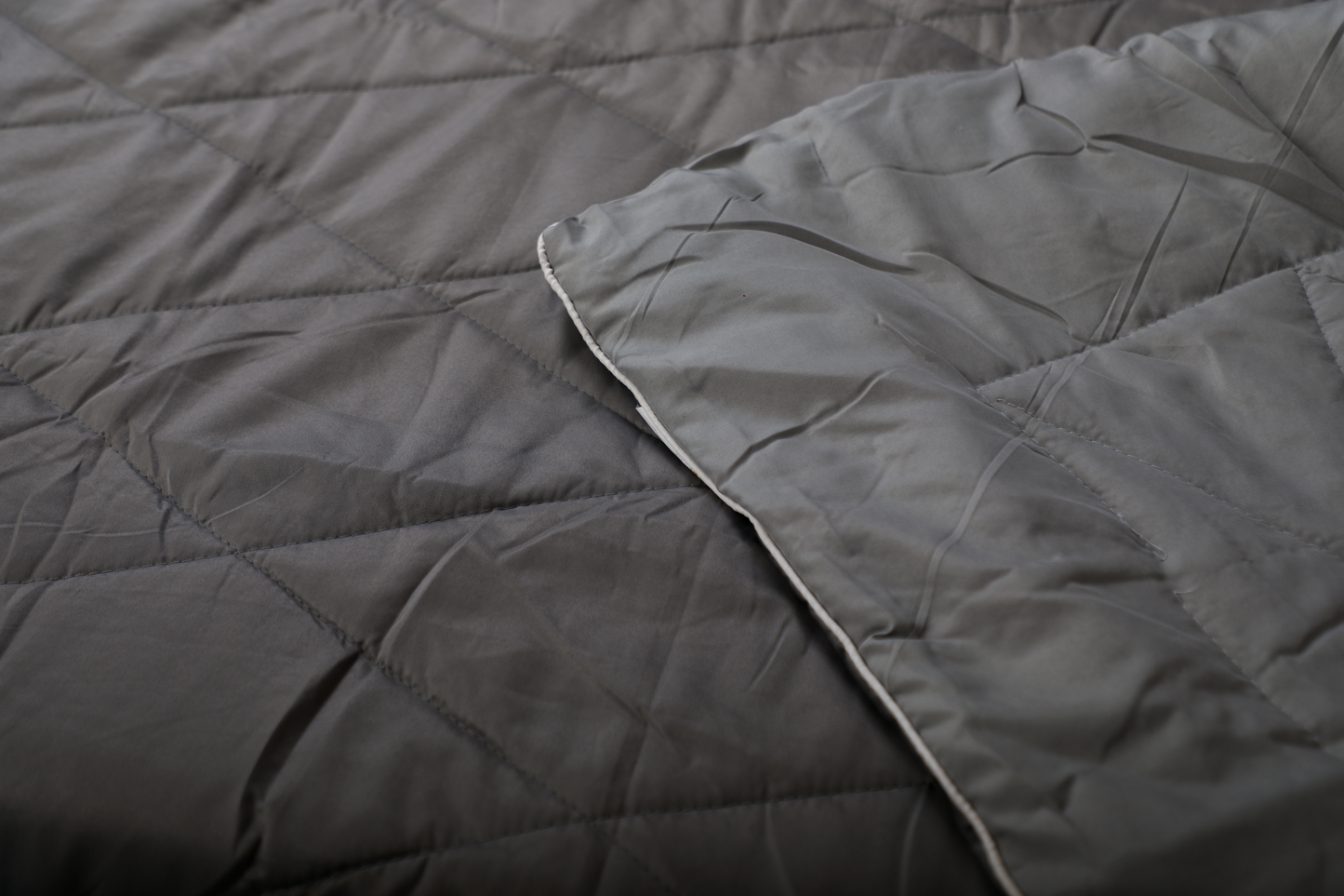 Fountain Grasses - SINGLE BED REVERSIBLE COMFORTER (Grey)